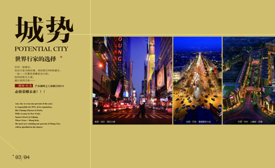 精致画册设计 商业地产楼书,精致画册,地产广告,房地产,画册,楼书,第五大道,商业地产,商业画册,商业楼书,宣传册,地产,高档楼书,纽约,psd,黄色,精品画册,精品模板,@北坤人模板图片素材