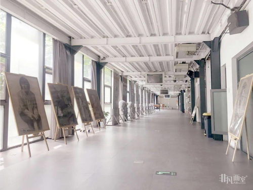 必看 综合类大学vs艺术类大学,究竟有何区别