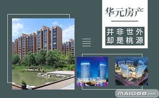 华元品牌 深耕商业地产，铸就城市生活新名片