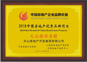 天山房地产开发集团荣登2018中国房地产企业品牌价值100强——聚焦商业地产成就